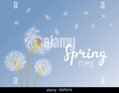 Lettering Spring Time. Dandelions with flying seeds on blue sky. Stock Vector