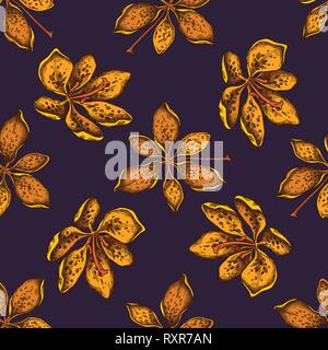 Seamless pattern with hand drawn colored blackberry lily stock illustration Stock Vector