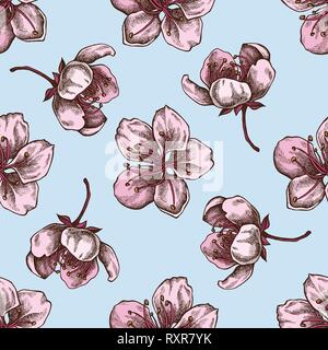 Seamless pattern with hand drawn colored sakura Stock Vector