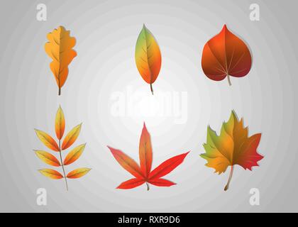 Autumn falling leaves isolated on gray background. Vector illustration. 10 eps Stock Vector