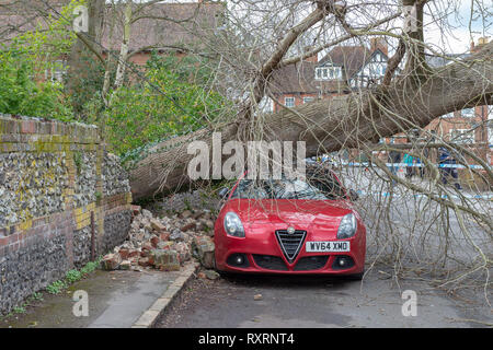 Marlow, United Kingdom. 10 March 2019. A tree has fallen during high winds in Marlow, the tree came down across Mill Road and came to rest on the roof of the Prince of Wales pub. Credit: Peter Manning/Alamy Live News Stock Photo