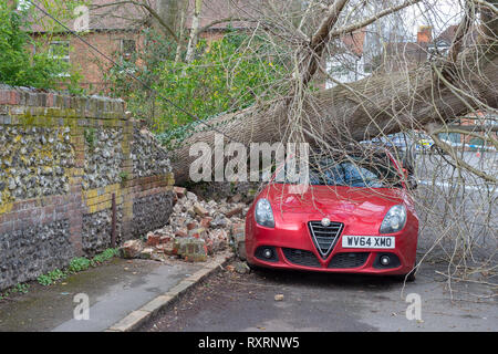 Marlow, United Kingdom. 10 March 2019. A tree has fallen during high winds in Marlow, the tree came down across Mill Road and came to rest on the roof of the Prince of Wales pub. Credit: Peter Manning/Alamy Live News Stock Photo