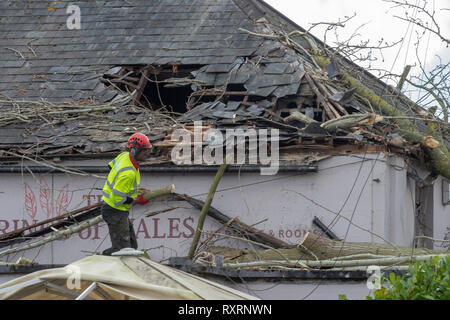 Marlow, United Kingdom. 10 March 2019. A tree has fallen during high winds in Marlow, the tree came down across Mill Road and came to rest on the roof of the Prince of Wales pub. Credit: Peter Manning/Alamy Live News Stock Photo