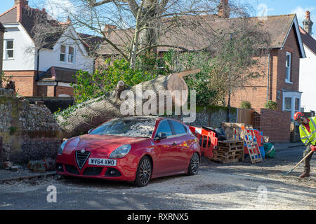Marlow, United Kingdom. 10 March 2019. A tree has fallen during high winds in Marlow, the tree came down across Mill Road and came to rest on the roof of the Prince of Wales pub. Credit: Peter Manning/Alamy Live News Stock Photo