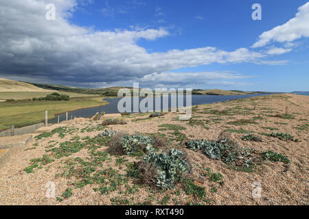 Chesil beach near Abbotsbury Dorset England UK Stock Photo