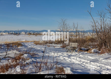 Bench next to snowy path, Rocky Mountain Arsenal National Wildlife Refuge, Colorado, USA. Stock Photo