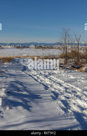 Bench next to snowy path, Rocky Mountain Arsenal National Wildlife Refuge, Colorado, USA. Stock Photo