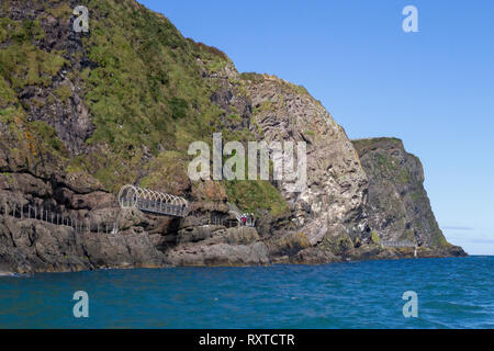 People walking along The Gobbins Cliff Path on Belfast Lough in County Antrim, Northern Ireland. Stock Photo