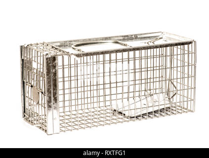 Humane rat trap made of galvanised steel mesh on white background. Closed Stock Photo