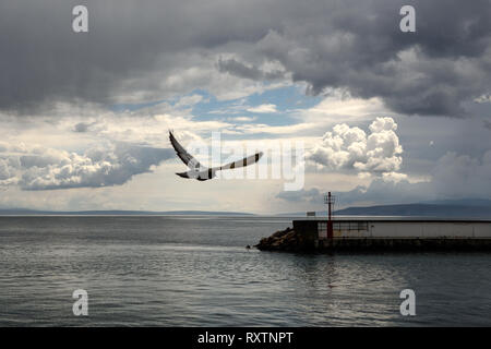 Seascape with dark clouds, moody wallpaper, seagull in flight over the sea, Adriatic sea, Opatija Croatia Stock Photo