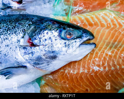 Close-up view of a fresh salmon fish on ice blocks, next to fish fillet pieces. Frozen fish on sale in a local market. Stock Photo