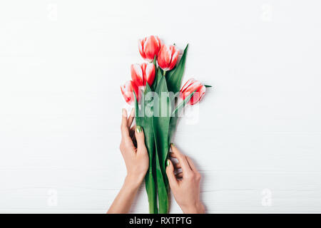 View from above woman's hands with green manicure holding bouquet of fresh red tulip flowers on white wooden table, flat lay. Stock Photo