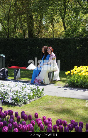 Two beautiful young asian ladies dressed traditional costumes sit on banch in spring time in Keukenhof flower garden. Violet tulips close up Stock Photo