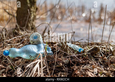 Littered by the edge of the lake by plastic bottles. Polluted environment in the forest area. Season of the spring. Stock Photo