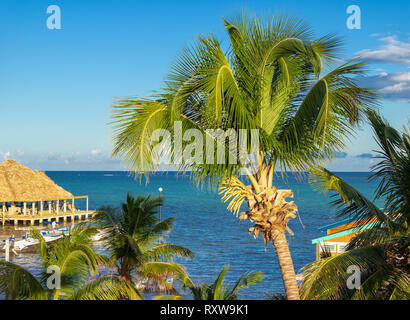 The turquoise waters of the Caribbean are the backdrop to this scene from San Pedro, Ambergris Caye, Belize. Stock Photo