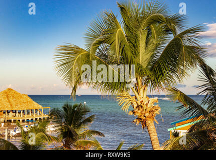 The turquoise waters of the Caribbean are the backdrop to this scene from San Pedro, Ambergris Caye, Belize. Stock Photo