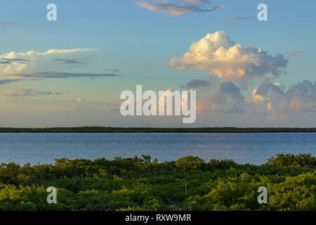 The setting sun reflects on thunderheads building over the mangroves north of San Pedro, Ambergris Caye, Belize. Stock Photo