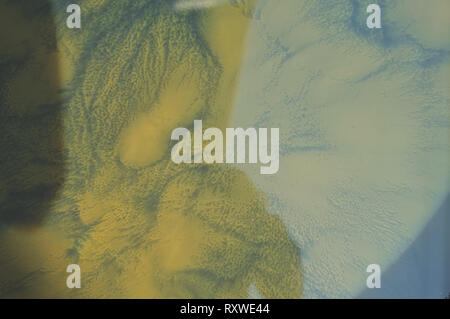 Nature dyeing fabric with indigo water background . Stock Photo