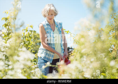 Bestager woman watering plants in her garden Stock Photo