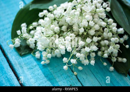 Bouquet of lilies of the valley on blue Stock Photo