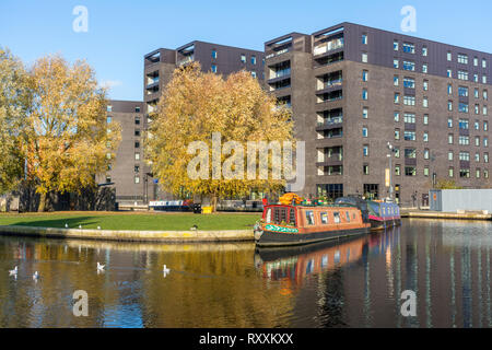 The Cotton Field Wharf apartment blocks, from the Cotton Field Park marina, New Islington, Ancoats, Manchester, England, UK Stock Photo