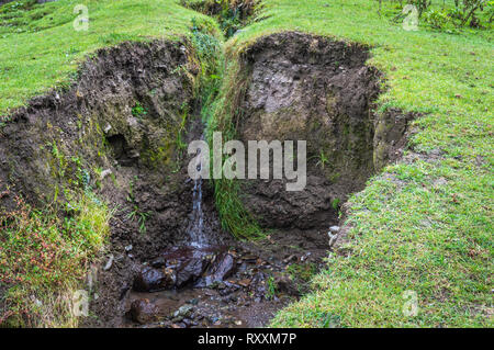 Water flowing through a crevice in the earth wwith lush green grass. Soil ersosion. Landslide. Stock Photo