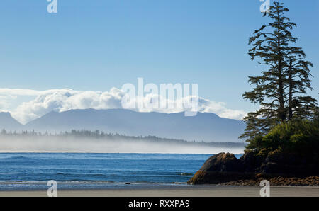 Schooners Beach at the end of Schooner Cove Trail, Pacific Rim National Park, Vancouver Island, British Columbia, Canada Stock Photo