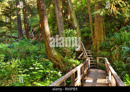 Boardwalks and steps that make up part of the Schooner Cove Trail in the Pacific Rim National Park, Vancouver Island, British Columbia, Canada Stock Photo