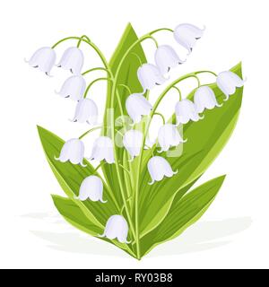 Lily of the valley, spring bouquet of delicate flower, vector illustration. White buds forest flowers bluebells, green stalks and leaves isolated on w Stock Vector