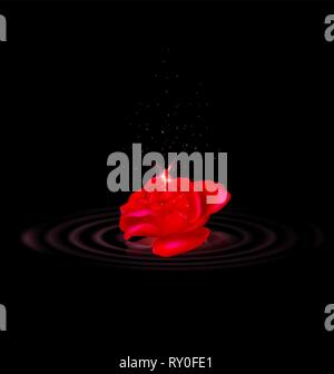 darkness and fairy of the red rose Stock Vector