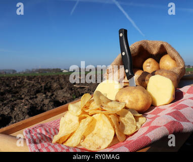 Fresh baked chips and potato in a field Stock Photo