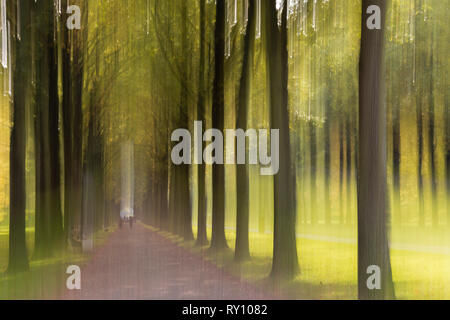 Alley in Autumn, Karlsaue, Kassel, Hesse, Germany Stock Photo