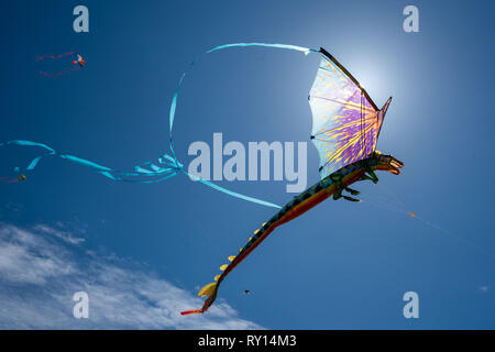 Los Angeles, USA. 10th Mar, 2019. Kites are seen during the 45th Annual Redondo Beach Kite Festival in Redondo Beach, Los Angeles County, the United States, March 10, 2019. Credit: Qian Weizhong/Xinhua/Alamy Live News Stock Photo