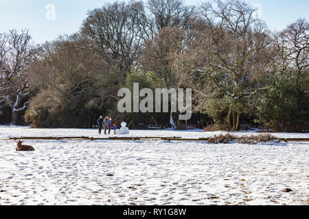 Families create snowmen in the New Forest during winter snow, donkeys lie in the snow nearby, Fritham, Hampshire, UK Stock Photo