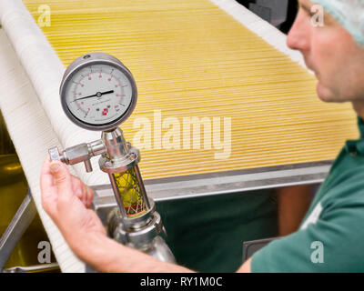 Production of ' Bio Planete ' organic oil, oil factory ' Moog ' in Bram (south of France). Stock Photo