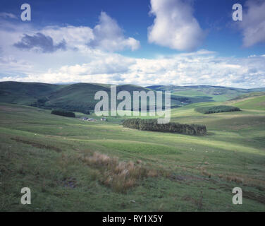 United Kingdom. Scotland. Scottish Borders. Rural landscape with farmstead near Galashiels. Stock Photo