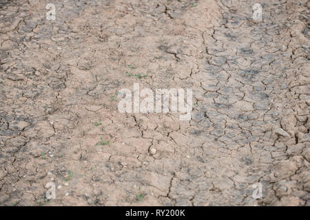 drought, Grevenbroich, North Rhine-Westphalia, Germany, Europe Stock Photo