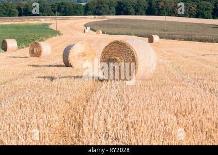 straw bales, Velbert, North Rhine-Westphalia, Germany, Europe Stock Photo