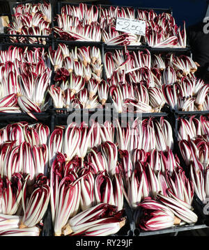 boxes of red chicory called RADICCHIO TARDIVO of Treviso for sale in Italy Stock Photo