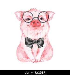 pig wearing glasses