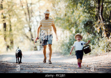 A mature father with a small toddler son and a dog walking on a road in nature, going fishing. Stock Photo