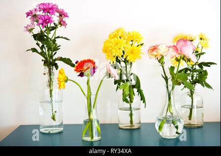 various colorful flowers in differently shaped vases Stock Photo