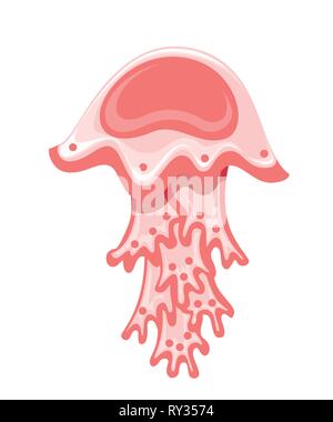 Sea red jellyfish. Tropical underwater animal. Medusa aquatic organism, cartoon style design. Flat vector illustration isolated on white background. Stock Vector