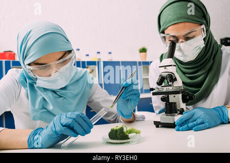 female muslim scientists looking through microscope and taking sample of broccoli during experiment in chemical laboratory Stock Photo