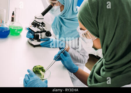 female muslim scientists looking through microscope and taking sample of broccoli during experiment in chemical laboratory Stock Photo