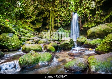 Dominica, Castle Bruce, Morne Trois Pitons National Park inscribed on the World Heritage List by UNESCO, in the tropical undergrowth, Emerald Pool and its waterfall Stock Photo