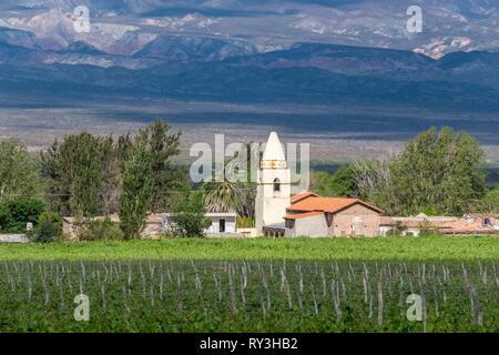 Argentina, Noroeste, Salta province, Valles Calchaquies, Cafayate, vineyard in Tolombo Stock Photo