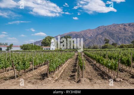 Argentina, Salta province, Cafayate, Valles Calchaquies, Sheraton Hotel, Bodega El Esteco, a winery and vineyard in Cafayate Stock Photo