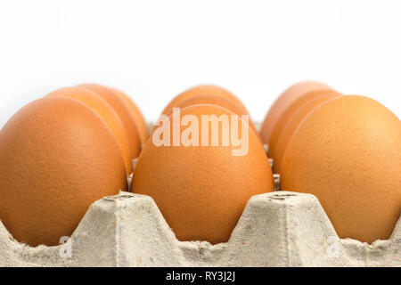 Closeup egg in paper panel on white background. Stock Photo