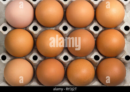 Closeup top view angle of fresh egg in paper panel on white background. Stock Photo
